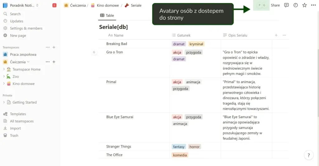 Tabela z lista seriali wraz z krotkim opisem i gatunkiem.