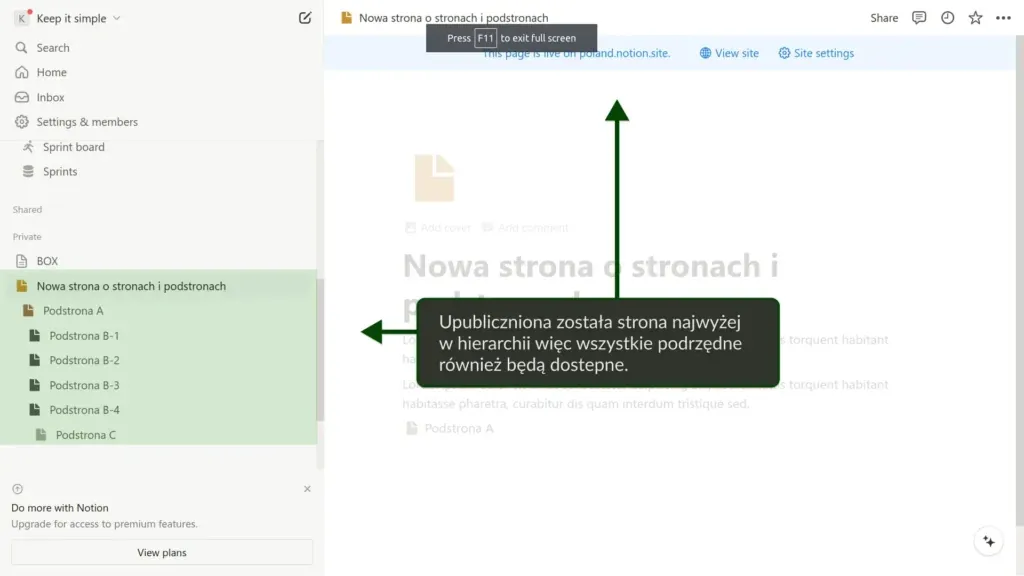 Strona "Nowa strona o stronach i podstronach" z menu bocznym i informacją o widoczności podstron.
